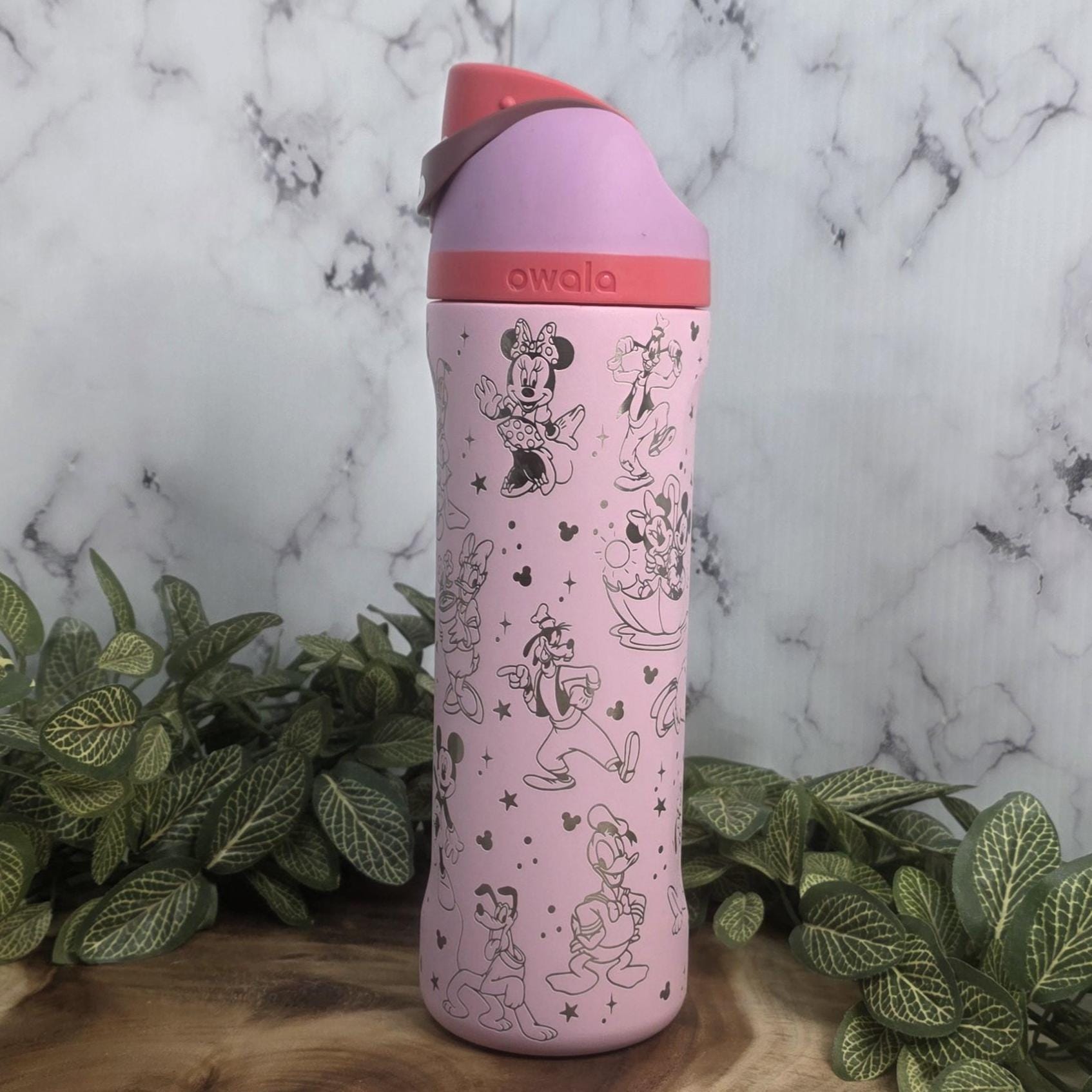 magical kingdom tumbler engraved mouse characters stainless steel owala bottle theme park drinkware