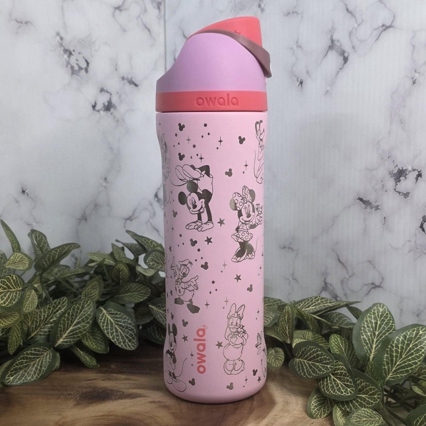 storybook character water bottle engraved owala tumbler pink insulated drinkware magical gift