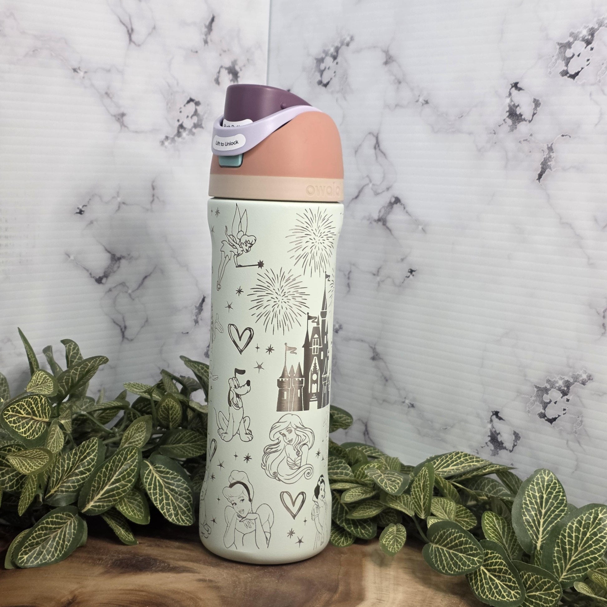 Engraved Owala water bottle fantasy princess design