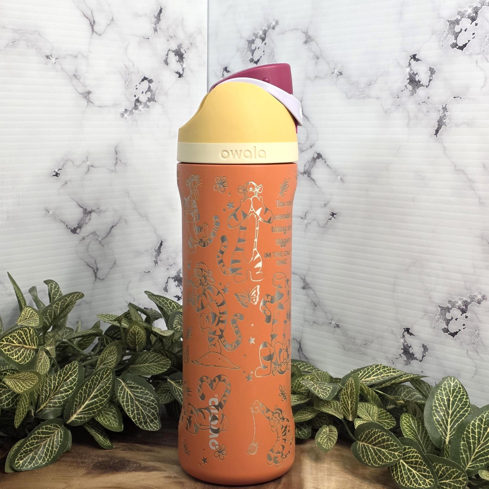 Laser engraved character inspired tumbler durable insulated bottle with fun theme