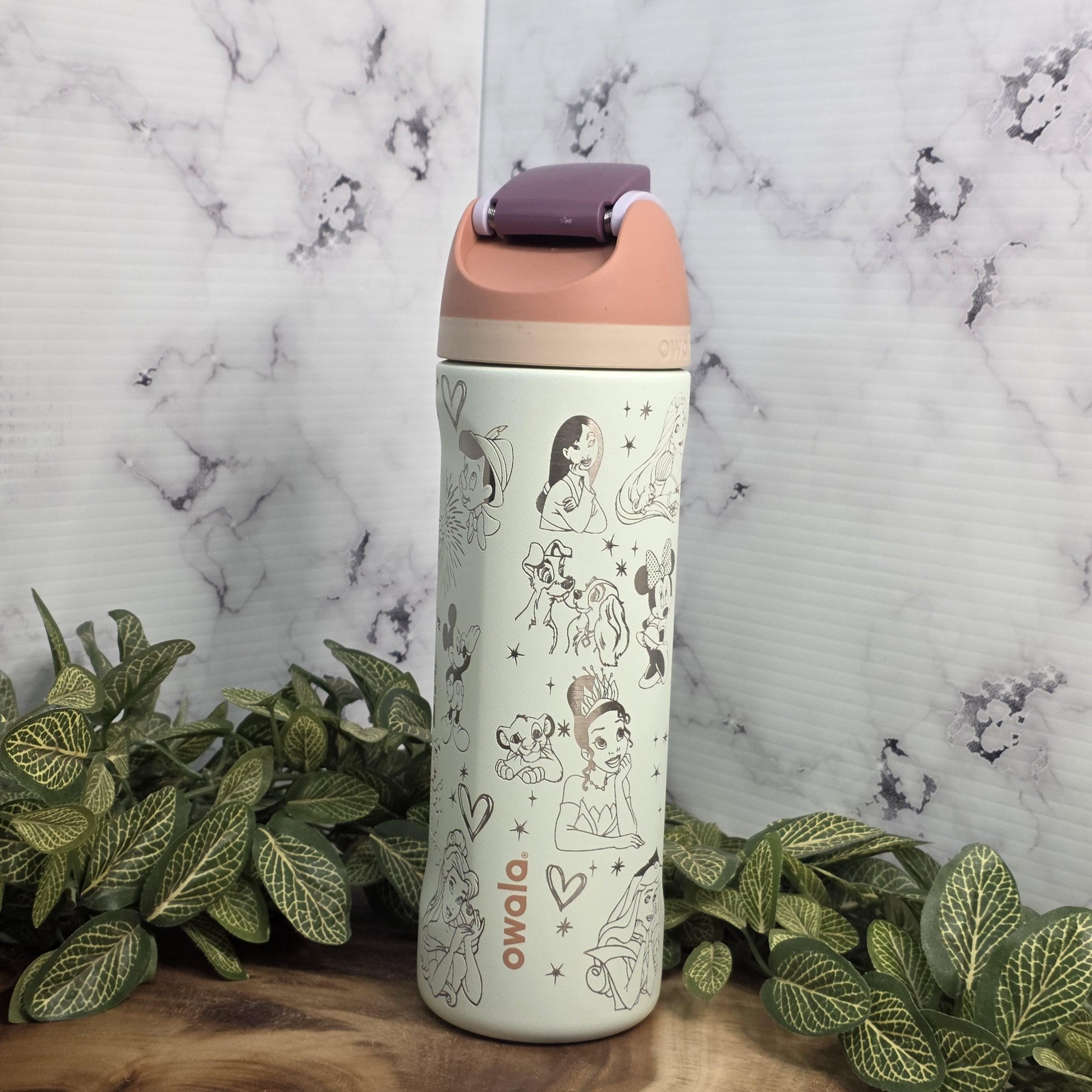Laser engraved Owala tumbler with princess castle and character artwork