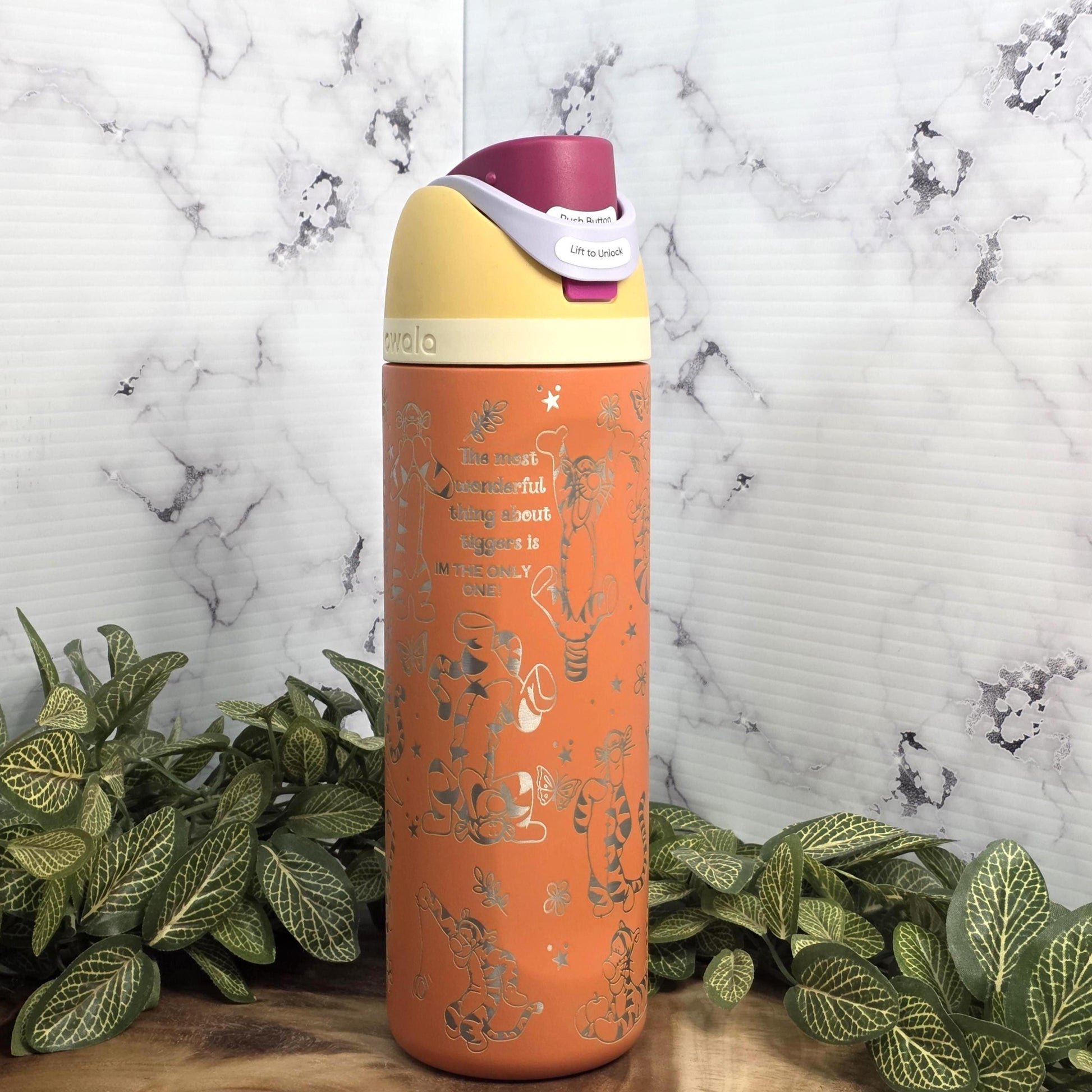 Stainless steel insulated Owala bottle engraved character style tumbler gift idea