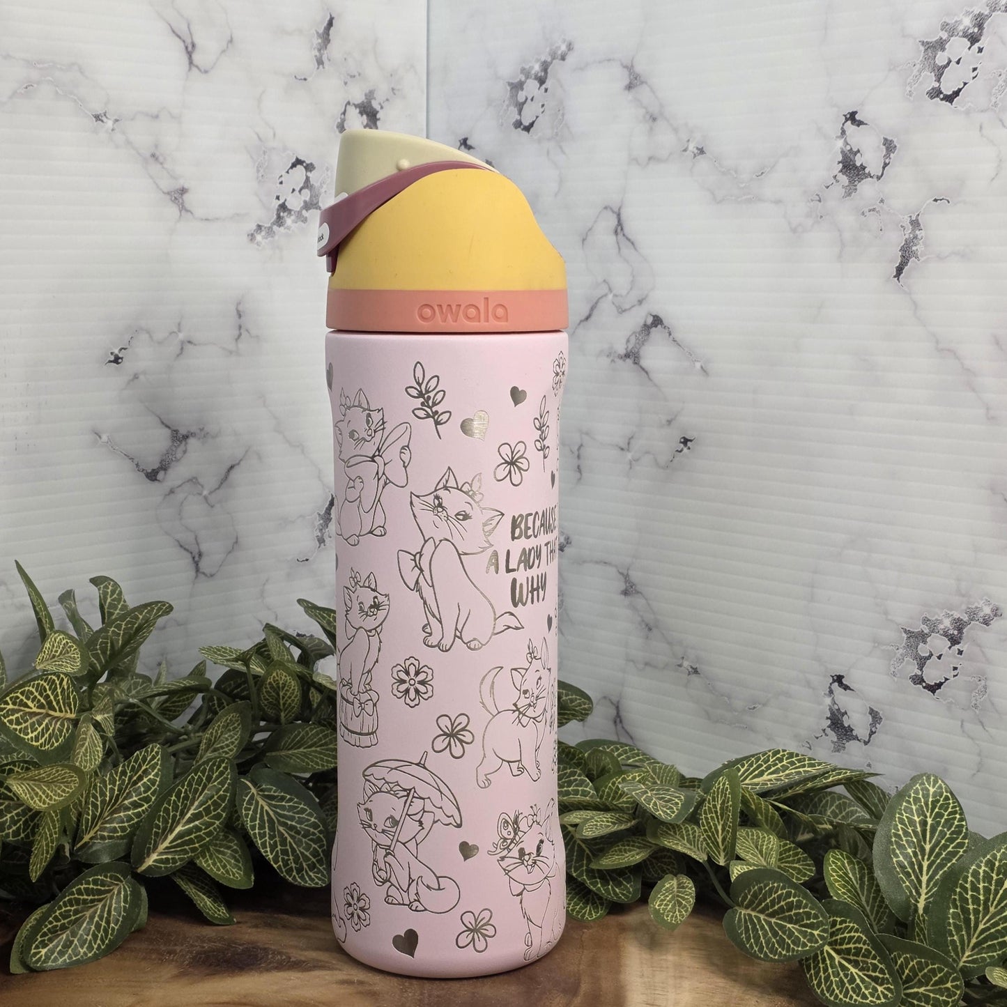 sassy cat engraved insulated water bottle aesthetic
