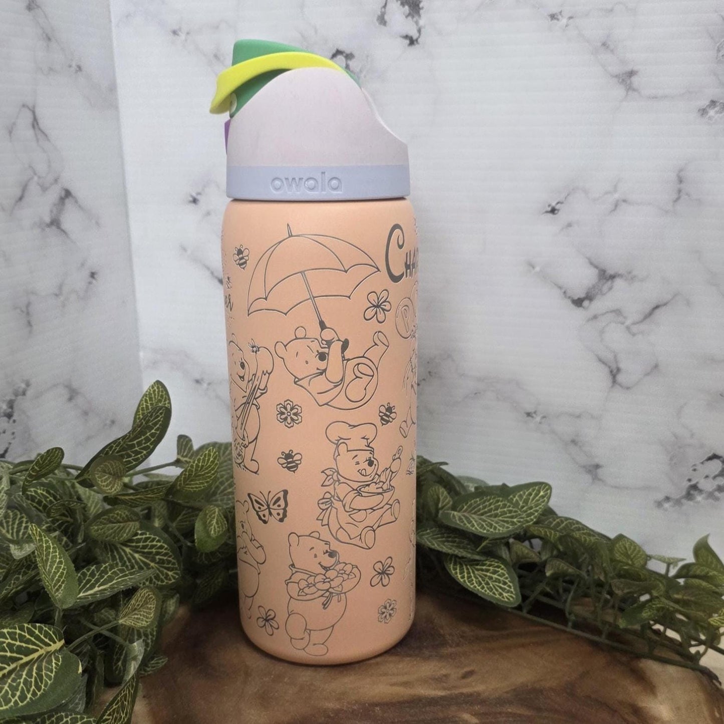 Winnie the Pooh Laser Engraved Owala Tumbler Personalized Stainless Steel Water Bottle
